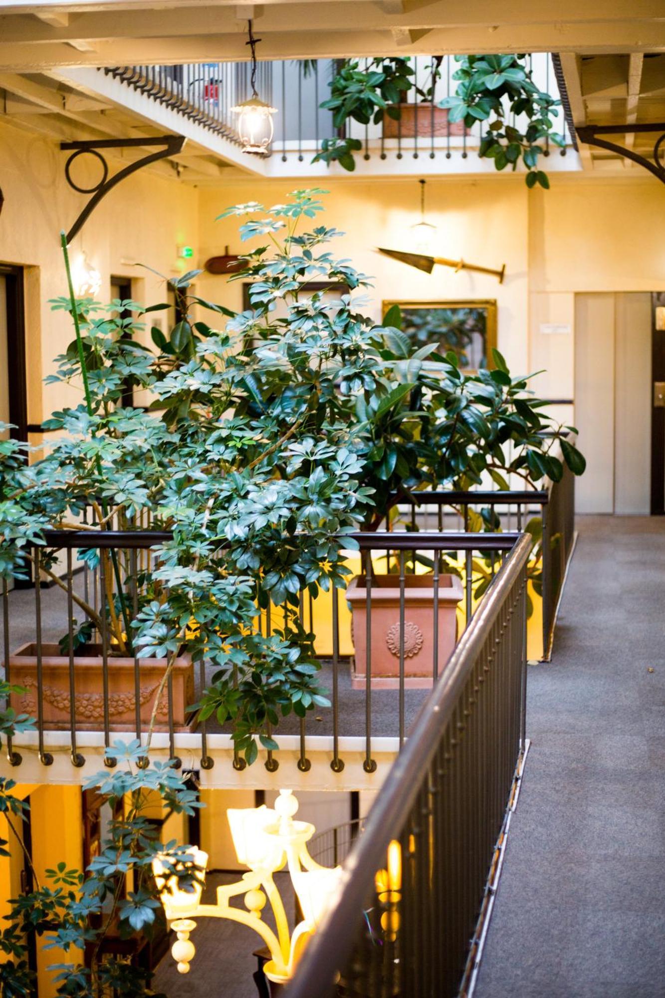 Grand Hotel D'Orleans Toulouse Eksteriør billede